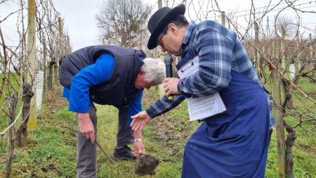 Vincekovo brez meja 21